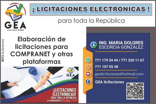 Licitaciones Electronicas para toda la Republica. Elaboracion de licitaciones para COMPRANET y otras plataformas